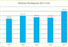 REALISASI PENDAPATAN BLU UNIVERSITAS LAMPUNG DALAM 5 TAHUN TERAKHIR REALISASI PENDAPATAN BLU UNIVERSITAS LAMPUNG DALAM 5 TAHUN TERAKHIR