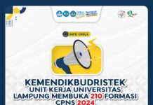 Kemendikbudristek Membuka 210 Formasi CPSN Dosen Dan Tenaga Kependidikan